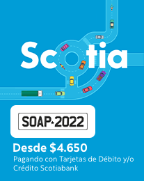 SOAP 2022